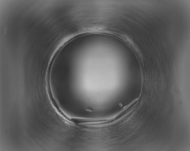 X0000054461432200507291336