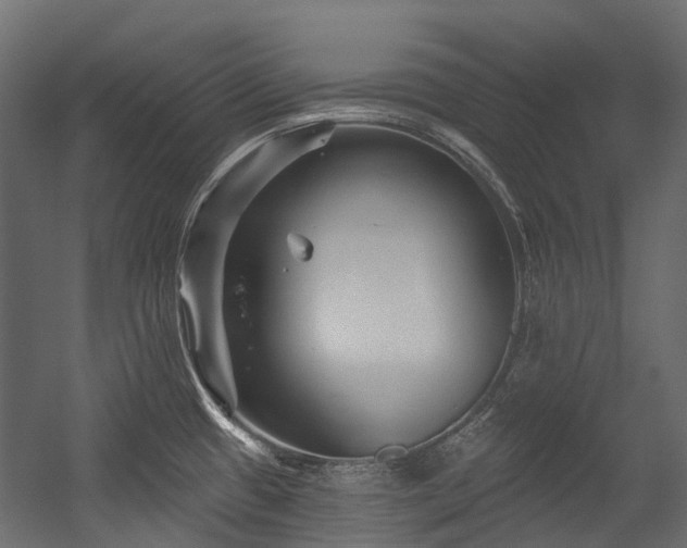 X0000054461433200507291336