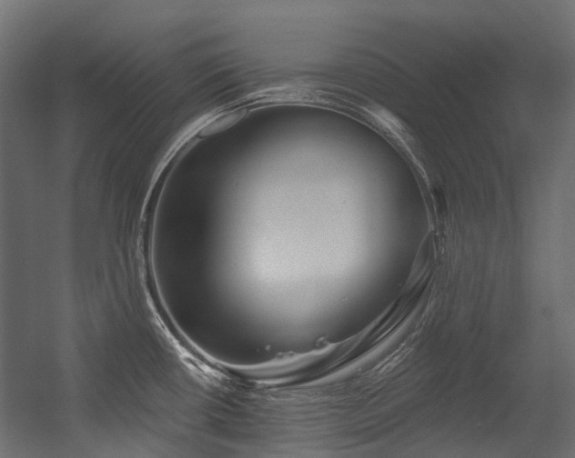 X0000054461434200507291336