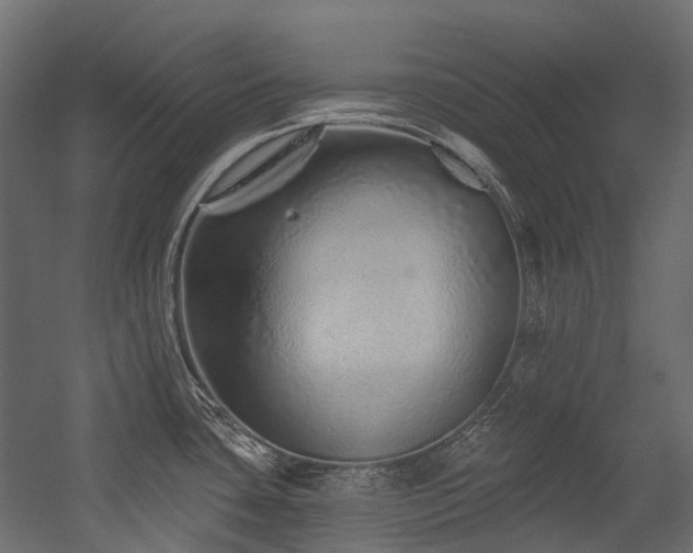 X0000054461435200507291336