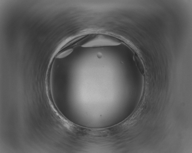 X0000054461440200507291336