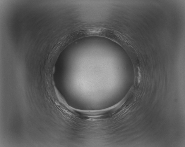 X0000054461441200507291336