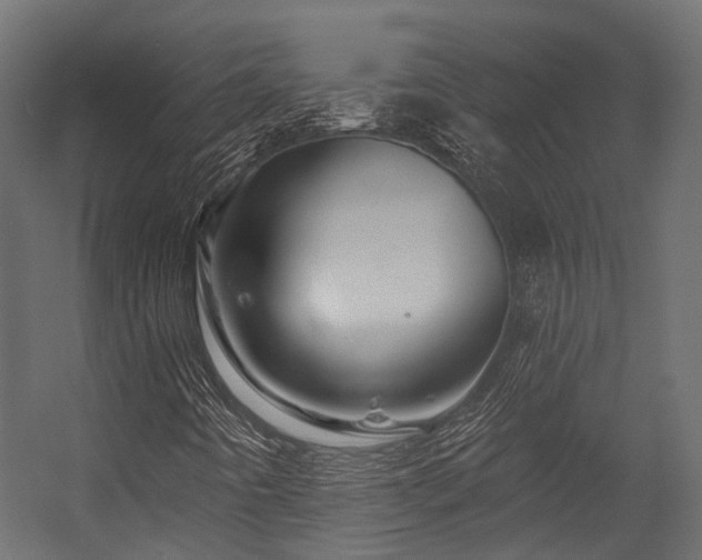 X0000054461442200507291336