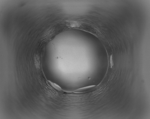 X0000054461443200507291336