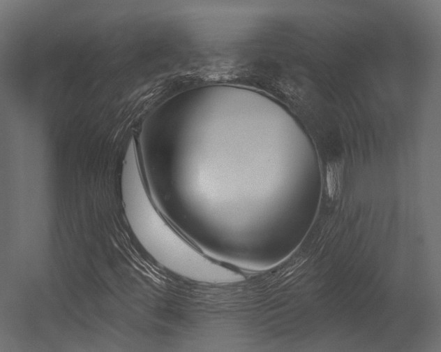 X0000054461444200507291336