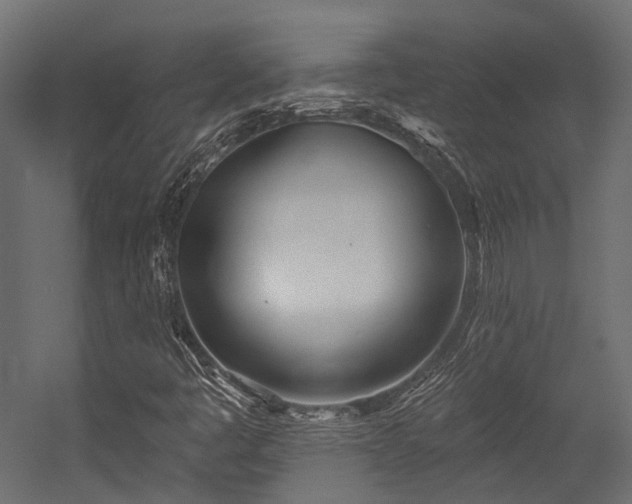 X0000054461445200507291336