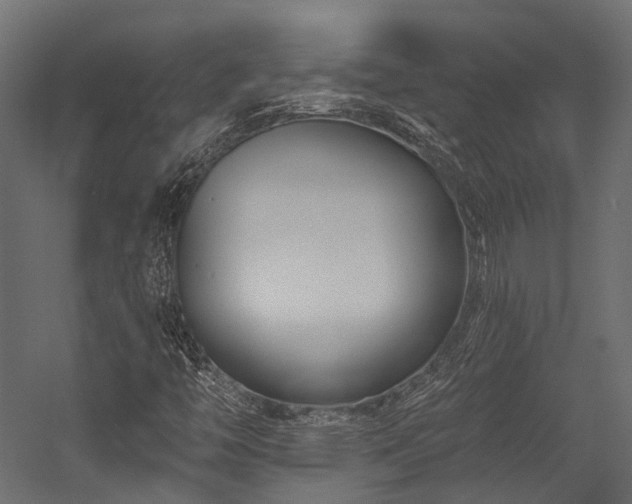 X0000054461446200507291336