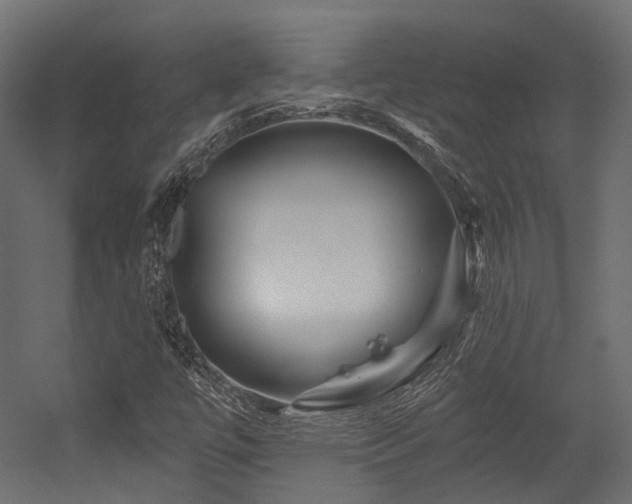 X0000054461447200507291336