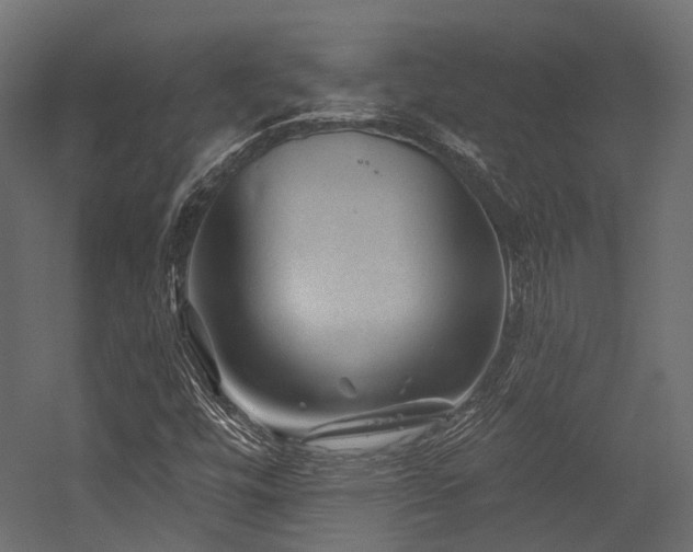 X0000054461448200507291336
