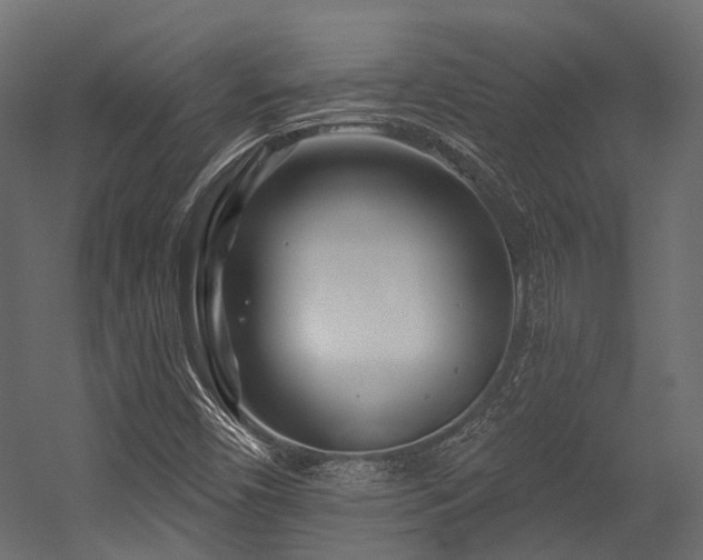 X0000054461450200507291336