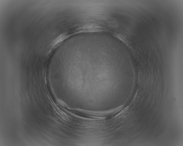 X0000054461451200507291335