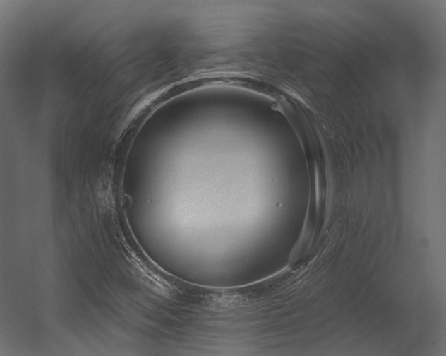 X0000054461452200507291335