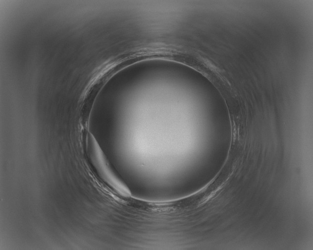 X0000054461453200507291335