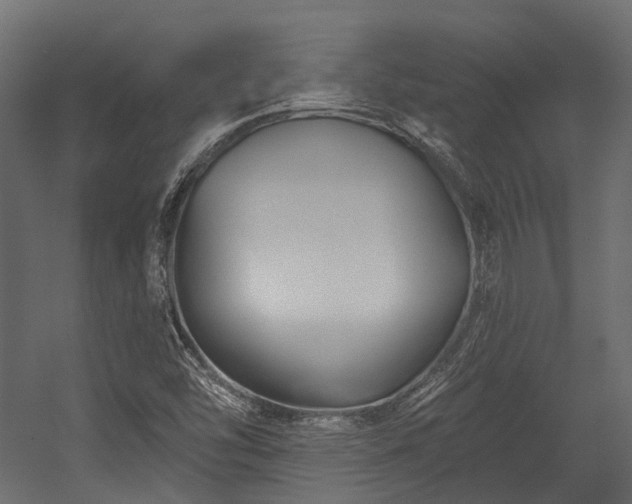 X0000054461454200507291335