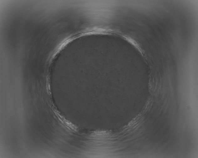X0000054461455200507291335