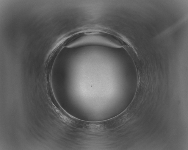 X0000054461456200507291335