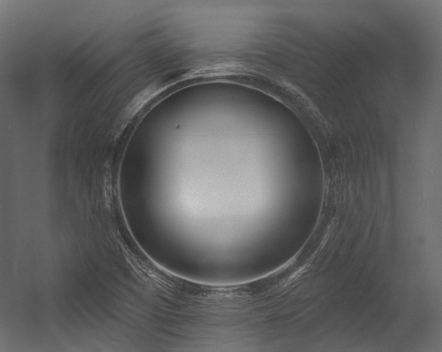 X0000054461457200507291335
