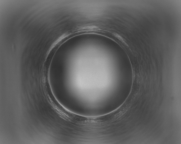 X0000054461458200507291335