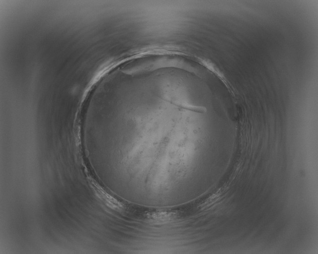 X0000054461459200507291335