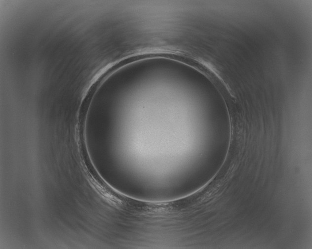 X0000054461460200507291335
