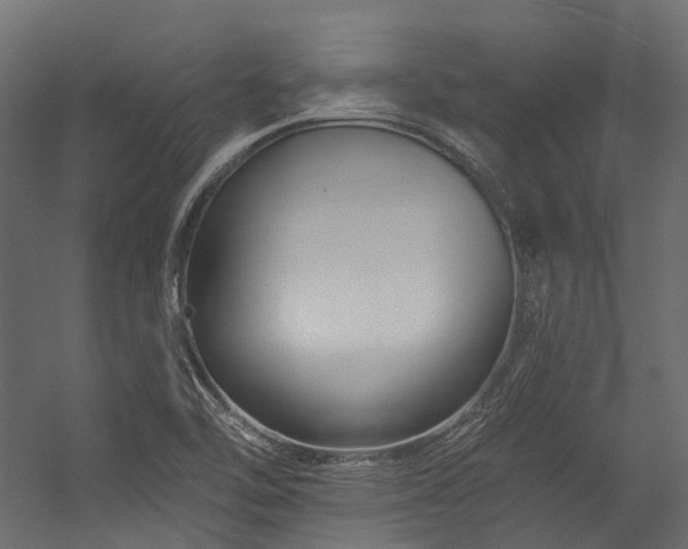X0000054461462200507291335