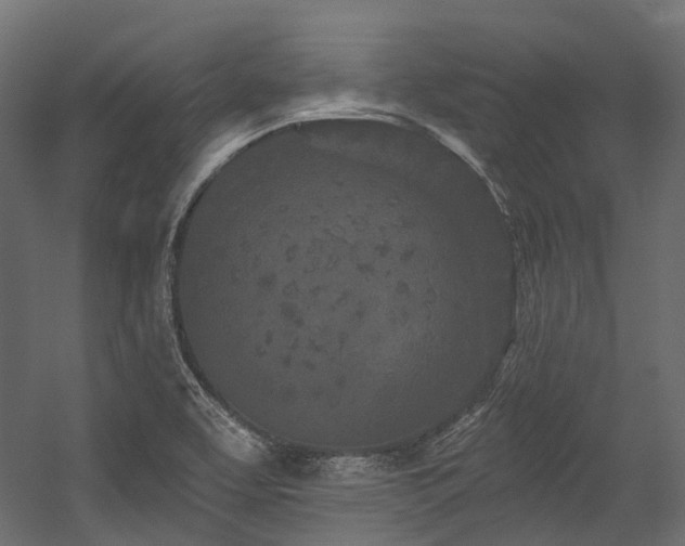X0000054461463200507291335