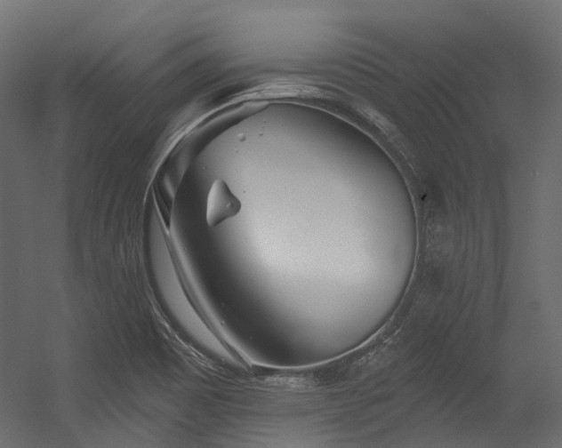 X0000054461465200507291335