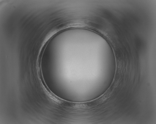 X0000054461466200507291335