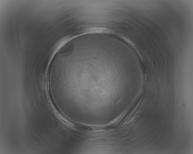 X0000054461467200507291335