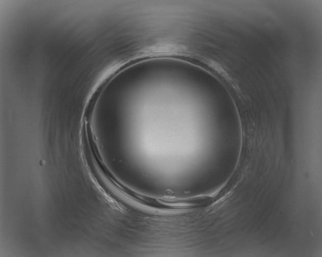 X0000054461469200507291335