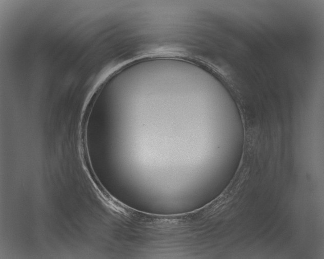 X0000054461470200507291335