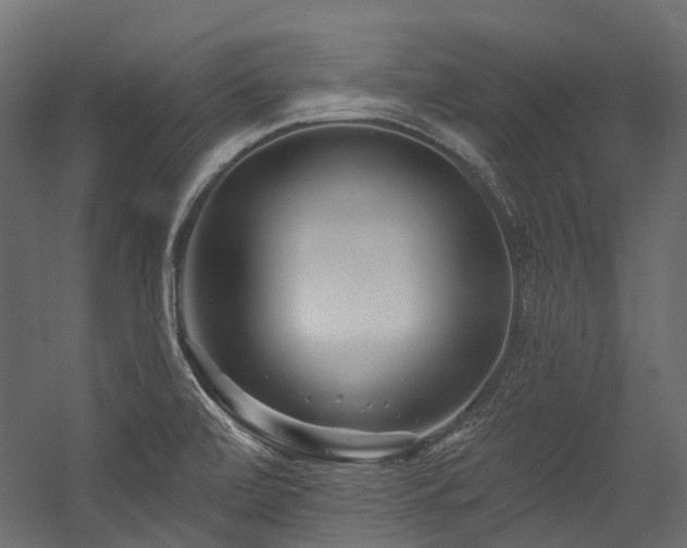 X0000054461472200507291335