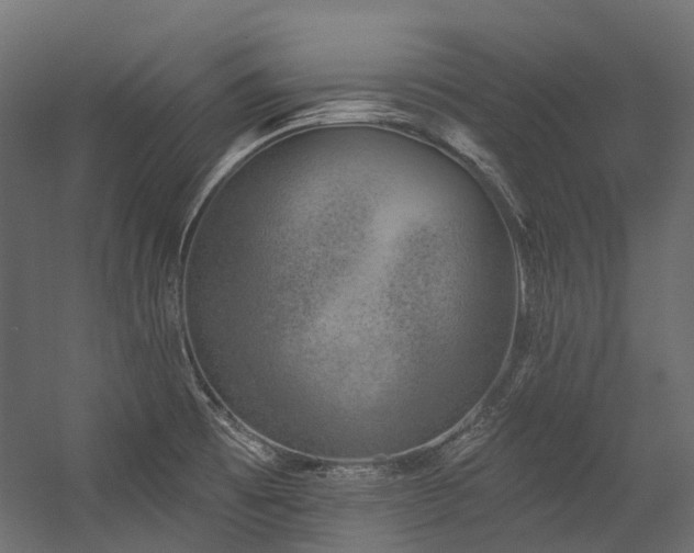 X0000054461473200507291335