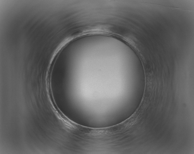 X0000054461474200507291335