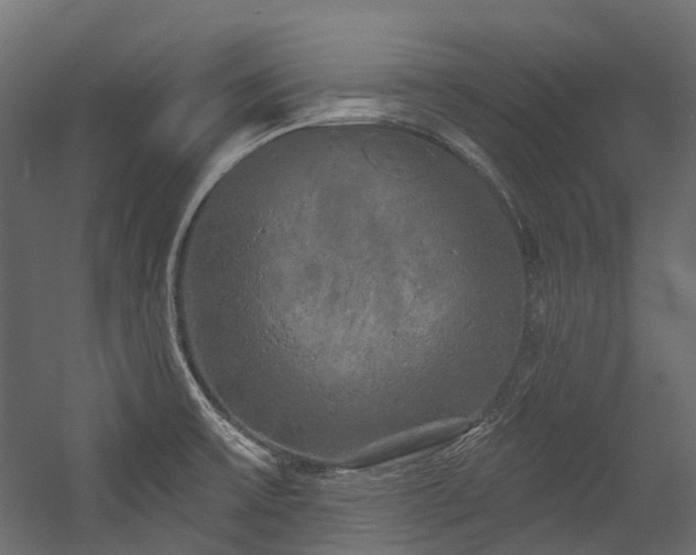 X0000054461475200507291335