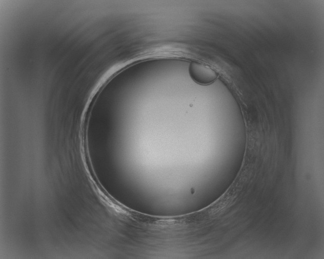 X0000054461478200507291335