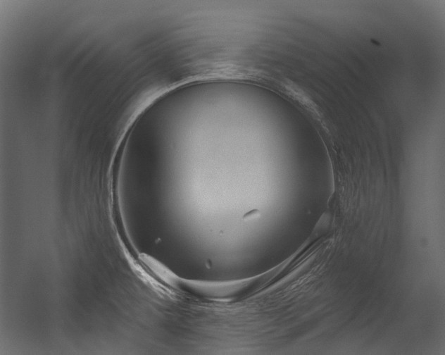 X0000054461479200507291335