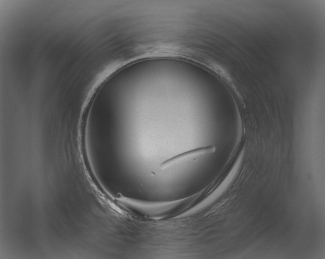 X0000054461480200507291335