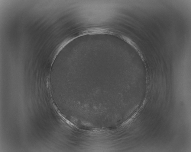 X0000054461481200507291335