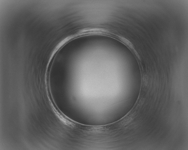 X0000054461482200507291335
