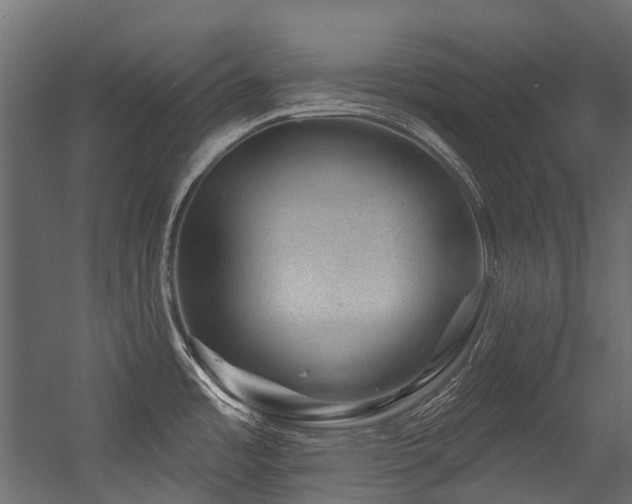 X0000054461485200507291335