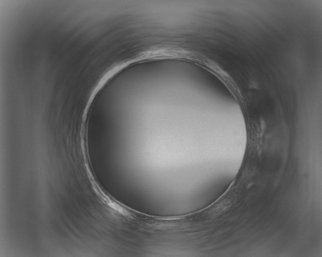 X0000054461486200507291335