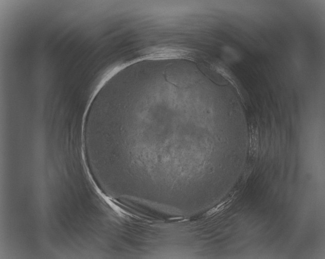 X0000054461487200507291335