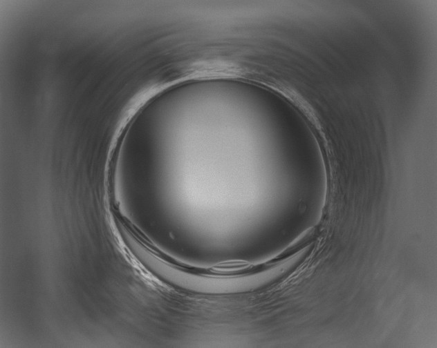 X0000054461488200507291335