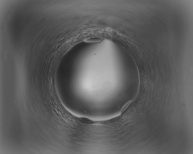 X0000054461489200507291334