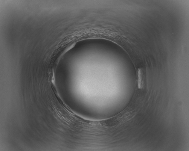X0000054461491200507291334