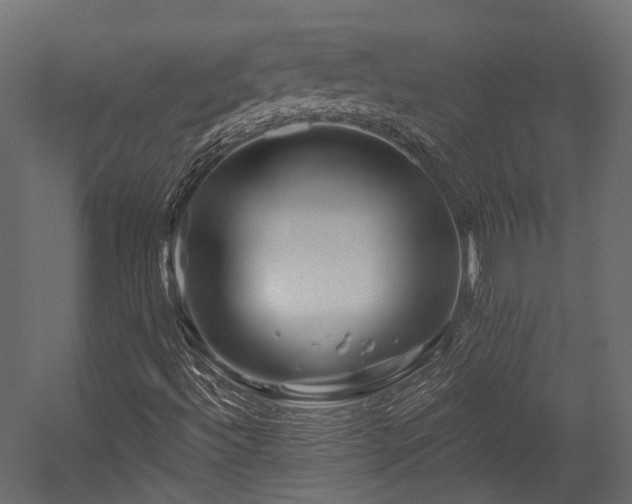 X0000054461492200507291334