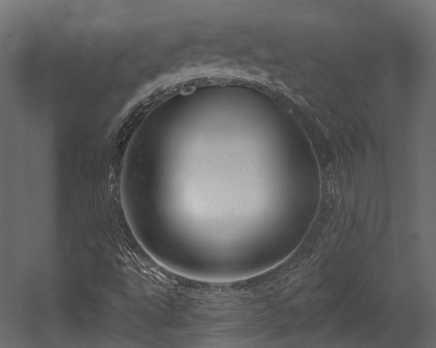 X0000054461495200507291334