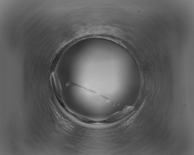 X0000054461497200507291334