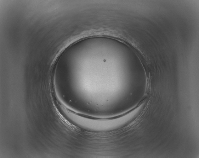 X0000054461500200507291334